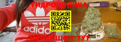 амф Обнинск