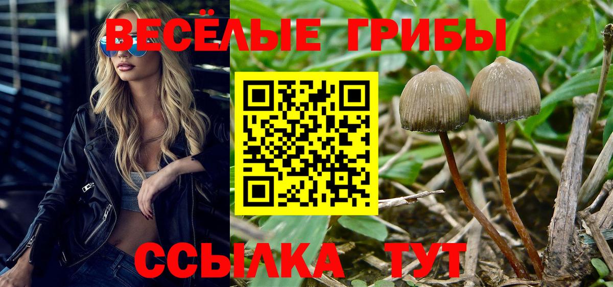 Псилоцибиновые грибы ЛСД Похвистнево